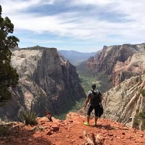 Meet your Posher, Canario